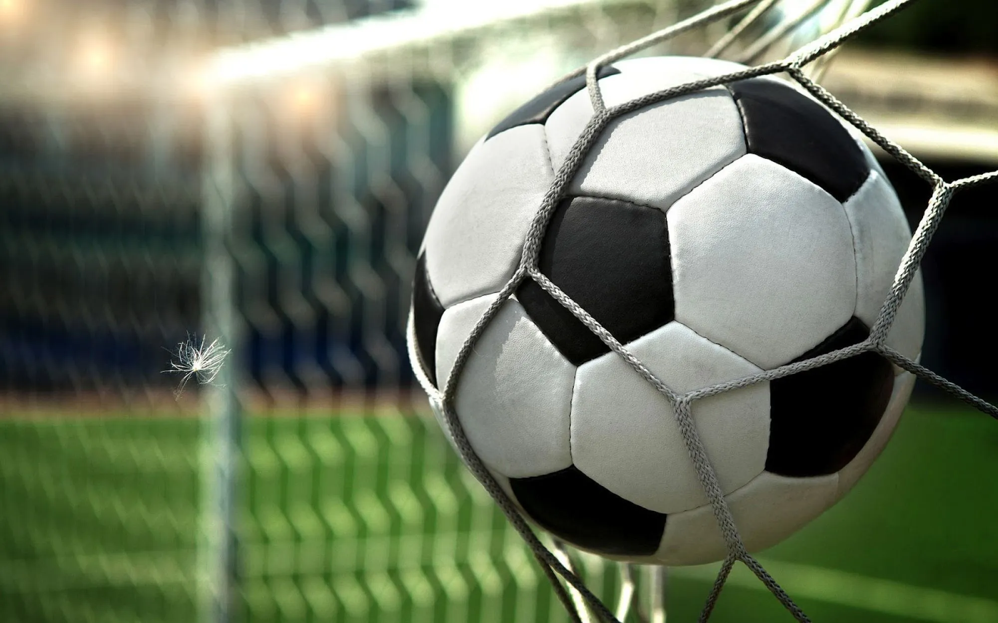 Schoolvoetbaltoernooi